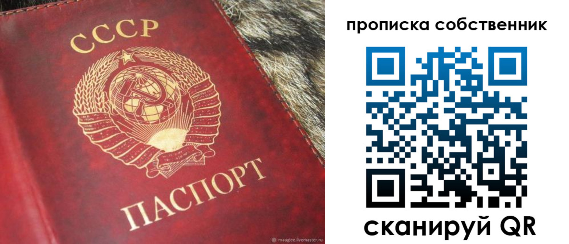 прописка для школы в Новоалтайске